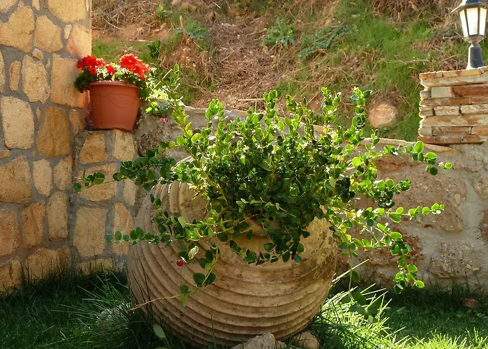 Xenios Zeys Pensionat Synikia Mesi Trikalon